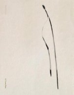 Txema Yeste: Needles