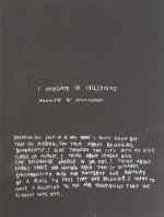 Ester Fleckner: I Navigate in Collisions