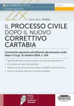 processo civile dopo il nuovo correttivo Cartabia. Commento operativo alla Riforma del processo civile dopo il D.Lgs. 31 ottobre 2024, n. 164