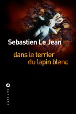 Dans le terrier du lapin blanc