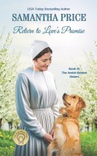 Return to Love's Promise