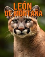 León de monta?a