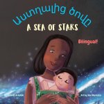 A Sea of Stars - Աստղալից ծովը