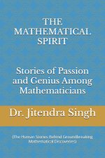 The Mathematical Spirit