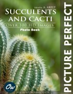 Succulents and cacti