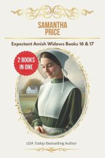 Expectant Amish Widows Omnibus Volume 6