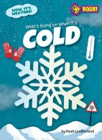 What's Going on When It's Cold