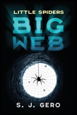 Little Spiders Big Web