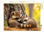 CALVENDO Puzzle Waschbären | 1000 Teile Lege-Größe 64x48cm Foto-Puzzle für glückliche Stunden