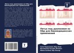 Lit'e pod dawleniem iz HAp dlq biomedicinskih primenenij