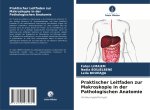 Praktischer Leitfaden zur Makroskopie in der Pathologischen Anatomie