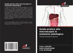 Guida pratica alla macroscopia in anatomia patologica