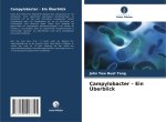 Campylobacter - Ein Überblick