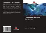 Campylobacter - Vue d'ensemble