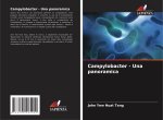 Campylobacter - Una panoramica