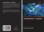 Campylobacter - przeglad