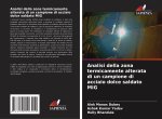 Analisi della zona termicamente alterata di un campione di acciaio dolce saldato MIG