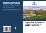 Ökologischer Zustand der heißen Quellen in Ost-Amhara, Äthiopien