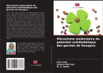 Mécanisme moléculaire du potentiel antidiabétique des germes de fenugrec