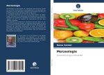 Merzeologie