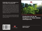 Production de lac de Rangeeni sur Palas (Butea monosperma)