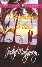 El resplandor de la llama (Colección Romance y Fantasía)
