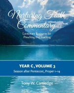 Nurturing Faith Commentary, Year C, Volume 3