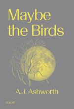 Maybe the Birds