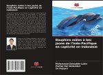 Dauphins mâles ? bec jaune de l'Indo-Pacifique en captivité en Indonésie