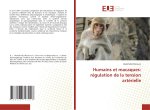 Humains et macaques: régulation de la tension artérielle