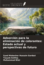 Adsorción para la eliminación de colorantes: Estado actual y perspectivas de futuro