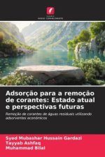 Adsorç?o para a remoç?o de corantes: Estado atual e perspectivas futuras