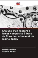 Analyse d'un ressort ? lames composite ? base de fibre de carbone et de résine époxy