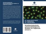 Strahleninduzierte zytomorphologische Studien an Capsicum annum L