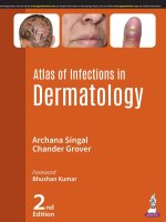 Atlas of Infections in Dermatology