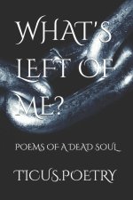 What's Left of Me