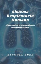 Sistema Respiratorio Humano