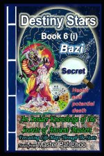 Bazi Secret Book 6 (i) Health & Potential death