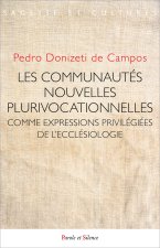 Les communautés nouvelles plurivocationnelles et ses diverses formes institutionnelles