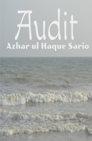 Audit