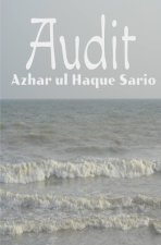Audit