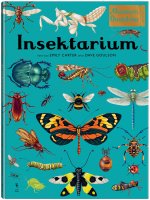 Insektarium. W Muzeum. Muzeum Owadów