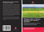 Estudos sobre a doença de Johne em ovinos e caprinos
