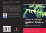 Técnicas de rastreio de genótipos de grão-de-bico contra a podridão do colo