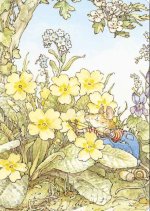 Carnet Printemps