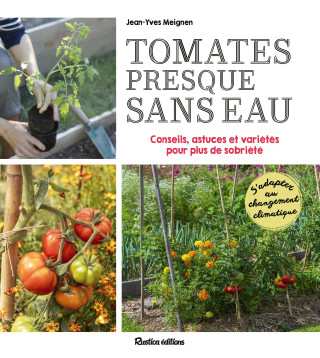 Des tomates presque sans eau