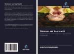 Stemmen van Veerkracht
