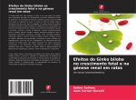 Efeitos do Ginko biloba no crescimento fetal e na génese renal em ratos