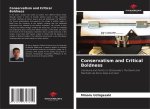Conservatism and Critical Boldness