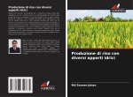 Produzione di riso con diversi apporti idrici